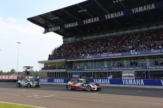 Thai promoter targeting a field of ten TCR cars